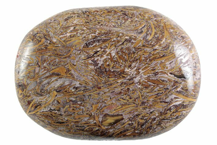 Polished Miriam Stone Palm Stone - India #365876